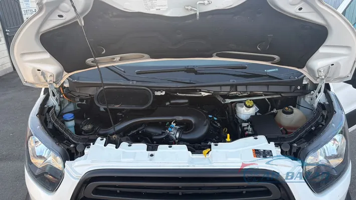 2019 FORD Transit